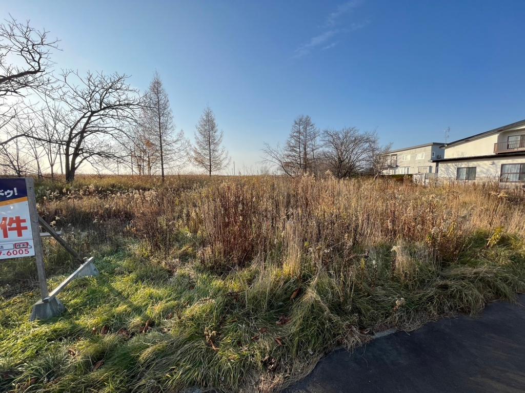 池田町字西２条２丁目　売土地 内観