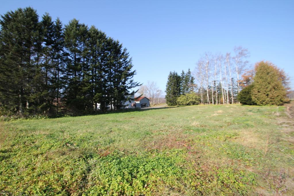 【防風林のある広大な売土地】新得町字屈足西１線 内観