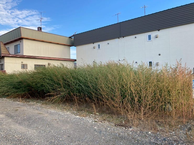 西１６条南４丁目　売土地 内観