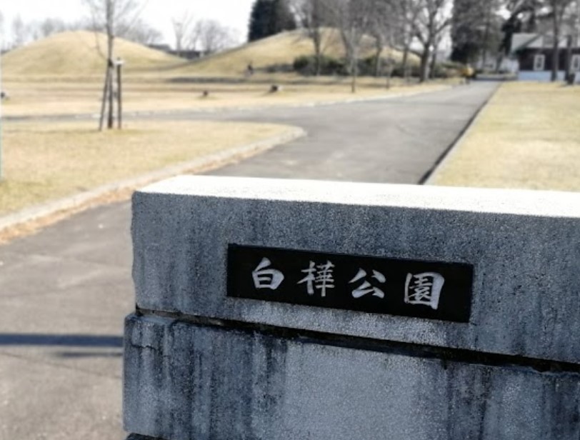 西１６条南４丁目　中古戸建 周辺