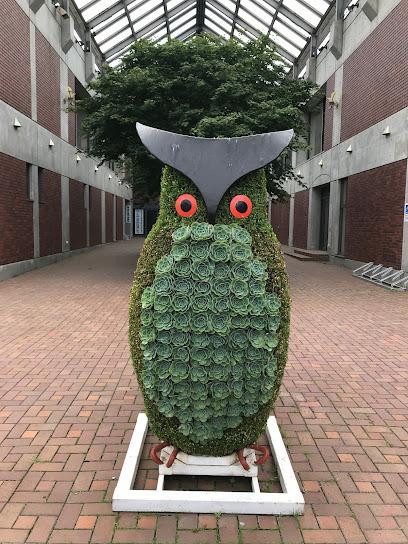 【写真追加】鹿追町鹿追基線　売土地② 周辺