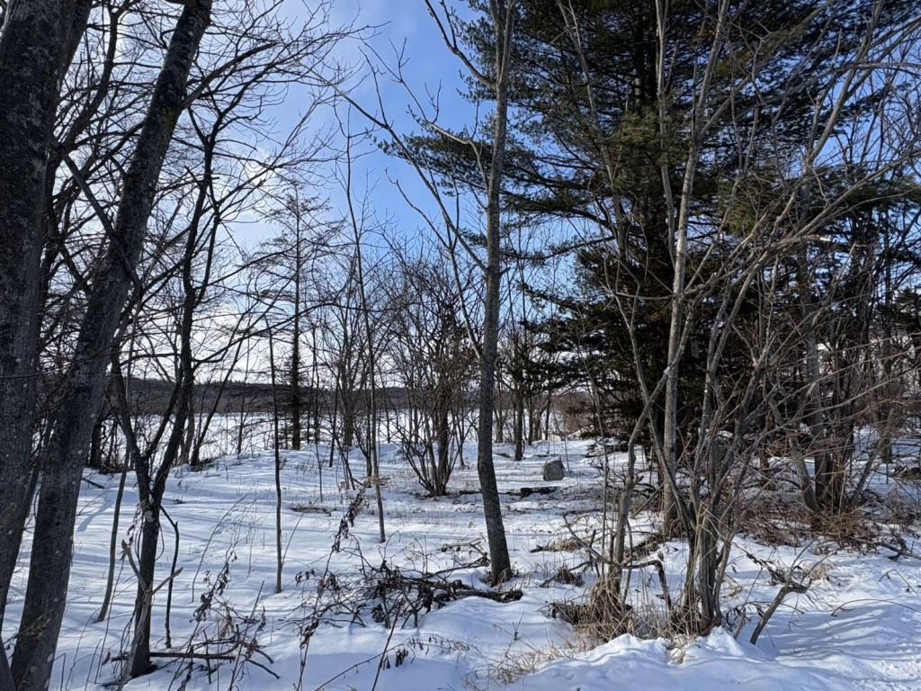 【写真追加】鹿追町鹿追基線　売土地②