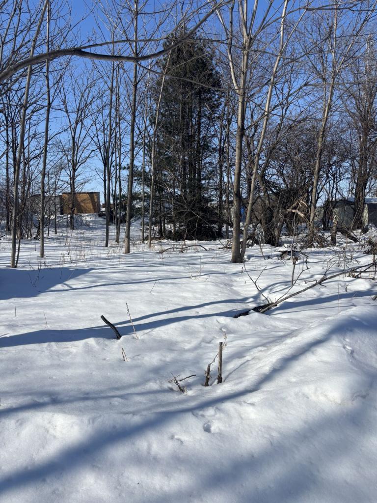 【写真追加】音更町木野西通１９丁目　売土地