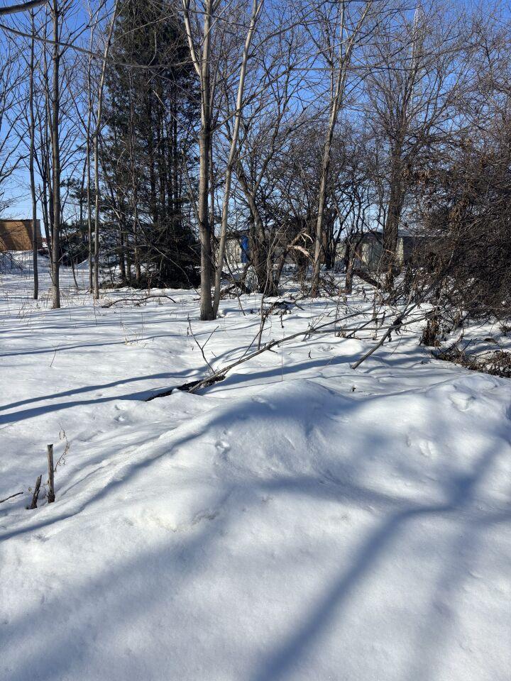 【写真追加】音更町木野西通１９丁目　売土地 内観