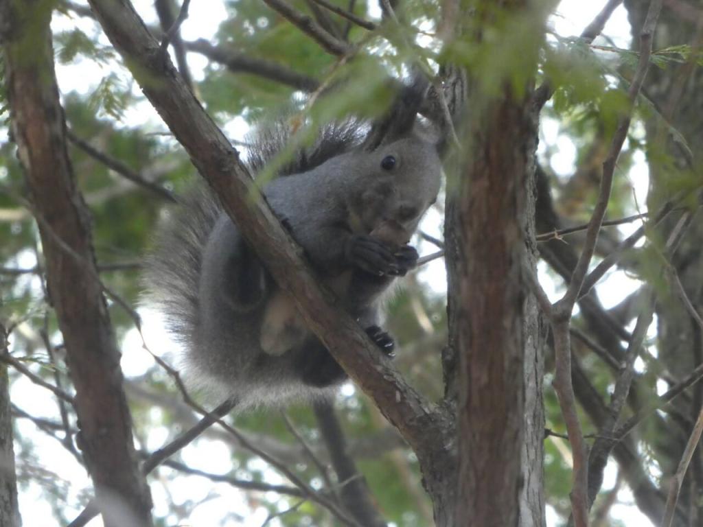 新得町栄町　中古戸建 内観