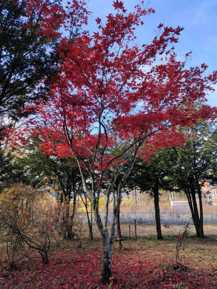 新得町栄町　中古戸建 内観