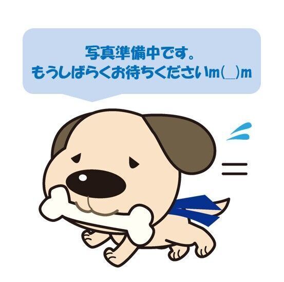 大空町３丁目　新築戸建