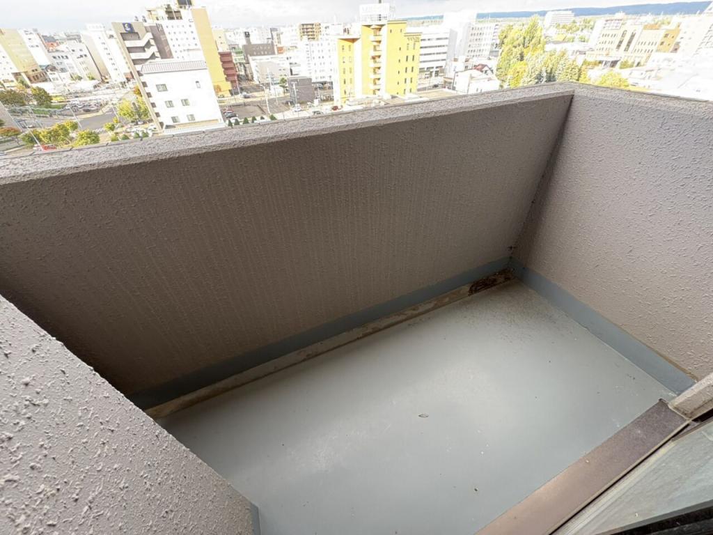 リブウェル大通　１００６号室 内観